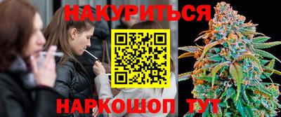 дмт Гусев