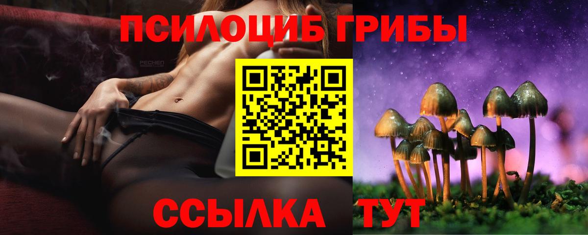Галлюциногенные грибы Psilocybine cubensis Лабытнанги